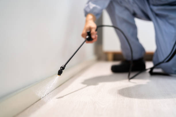 Licensed Mosquito Control service in York, NE - Show Me Pest Control