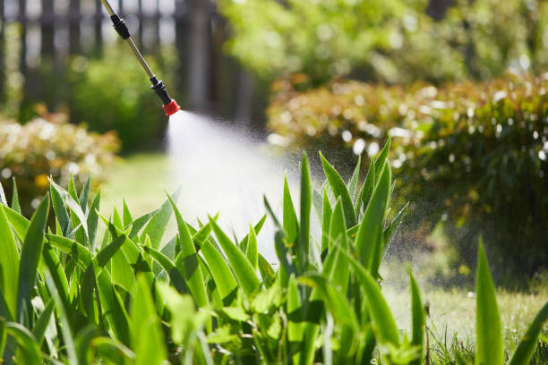 24/7 Emergency Mosquito Control experts in York, NE