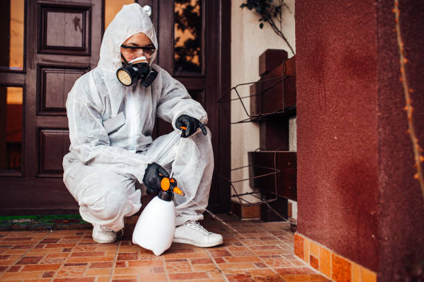 Reliable Mosquito Control contractor in York, NE by Show Me Pest Control