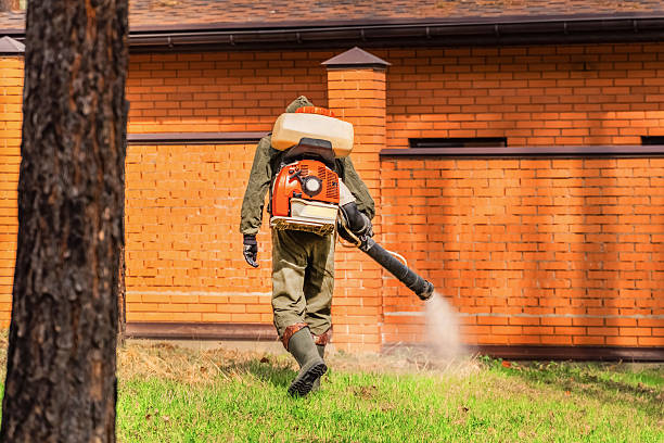 Top rated local Mosquito Control specialists in York, NE